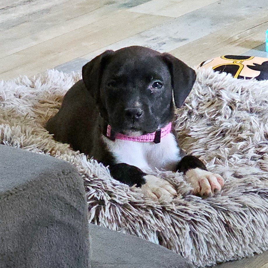 Chaos aka Betty Lu — thumbnail 9