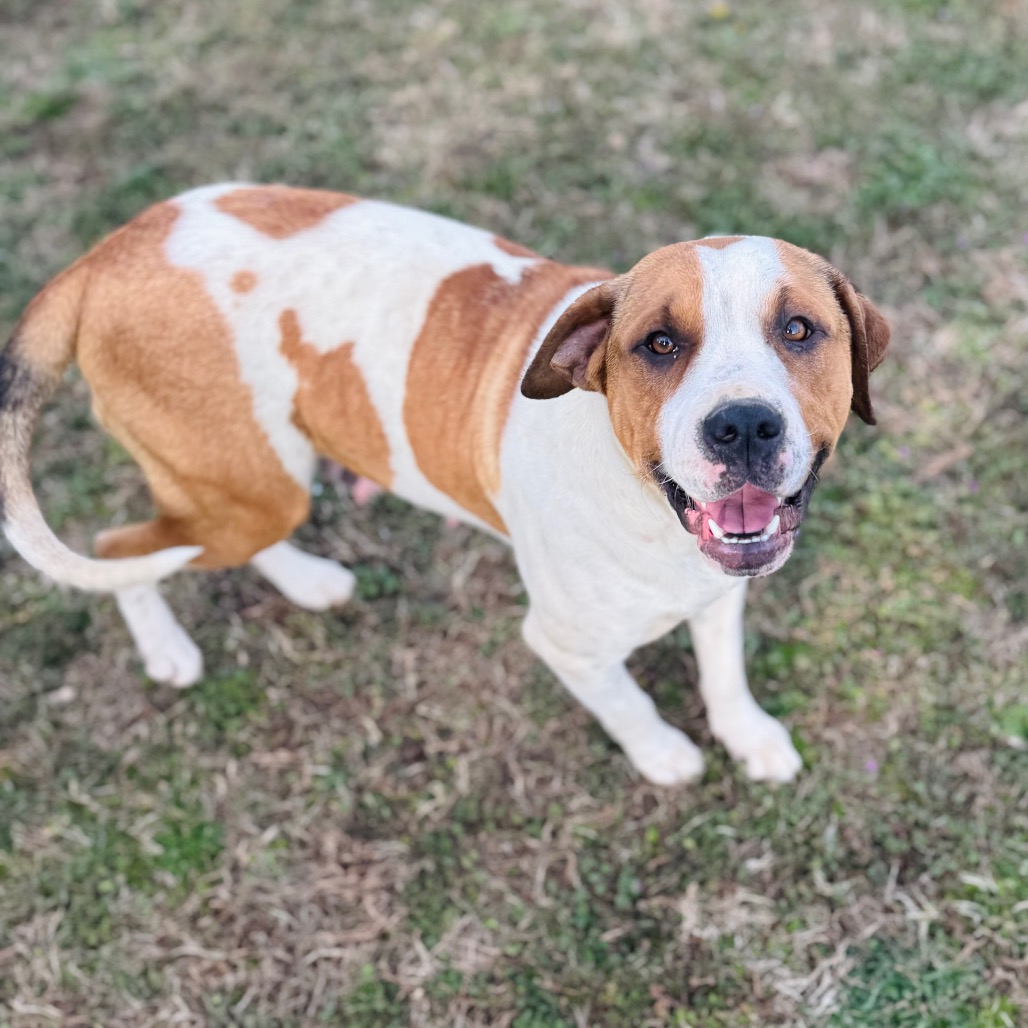 Diana — thumbnail 2