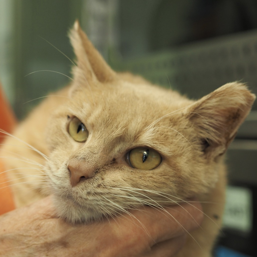 Gare Bear — thumbnail 9