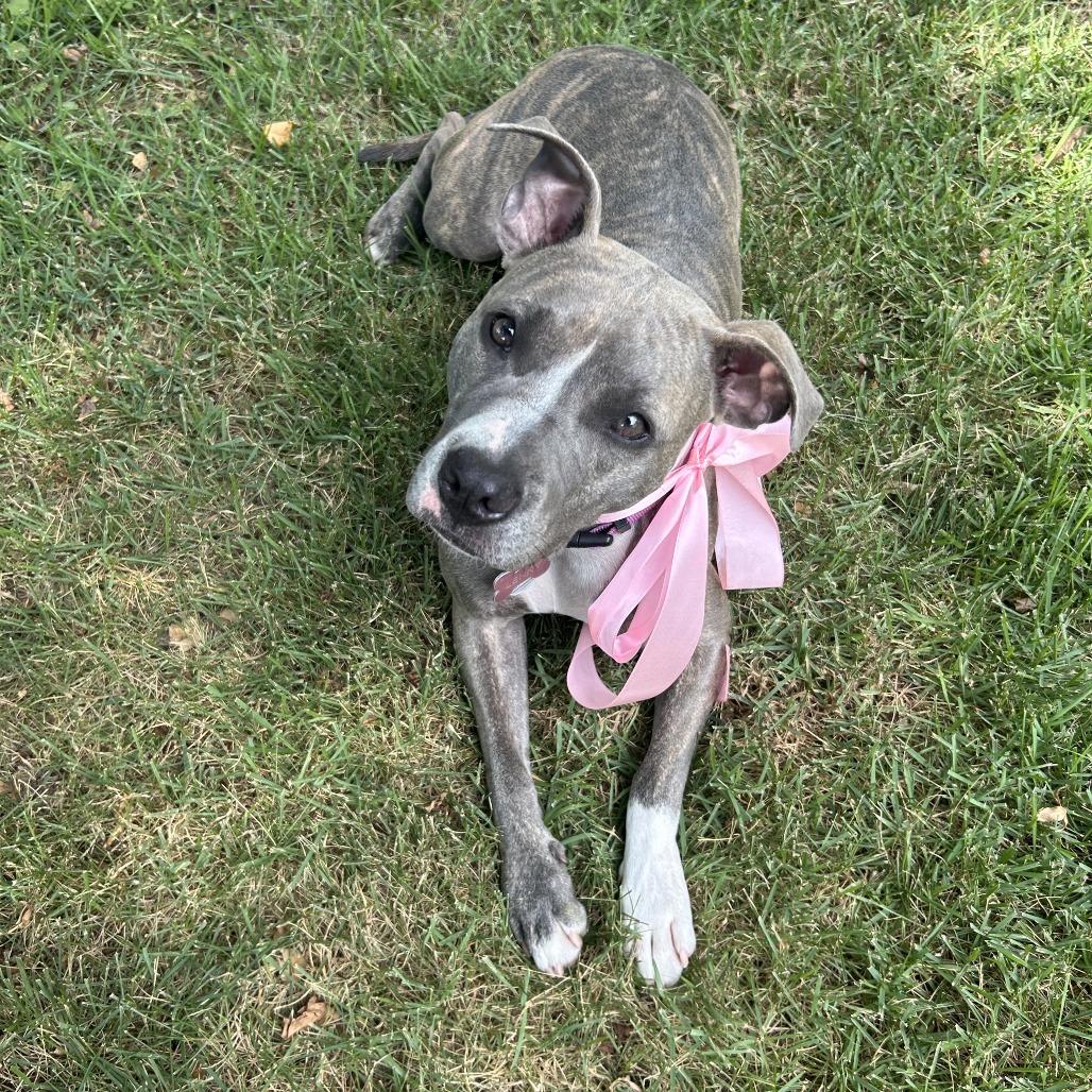 Flicka, photo 27