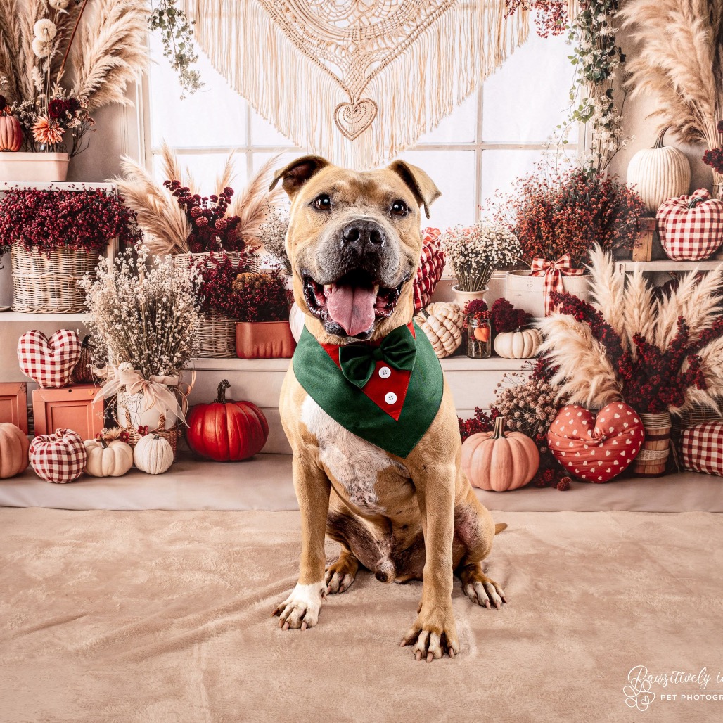 Mateo, photo 14