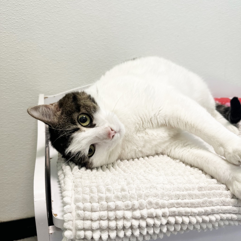 Redis — thumbnail 9