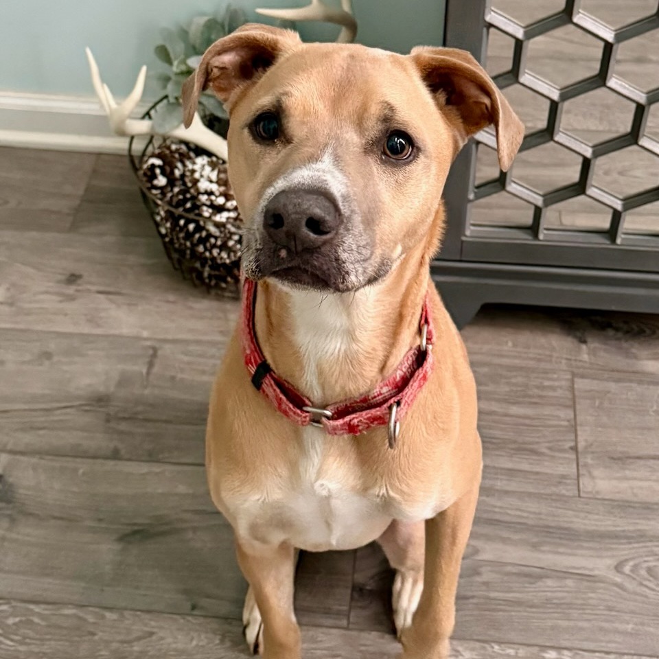 Francesca 12-1724, photo 10