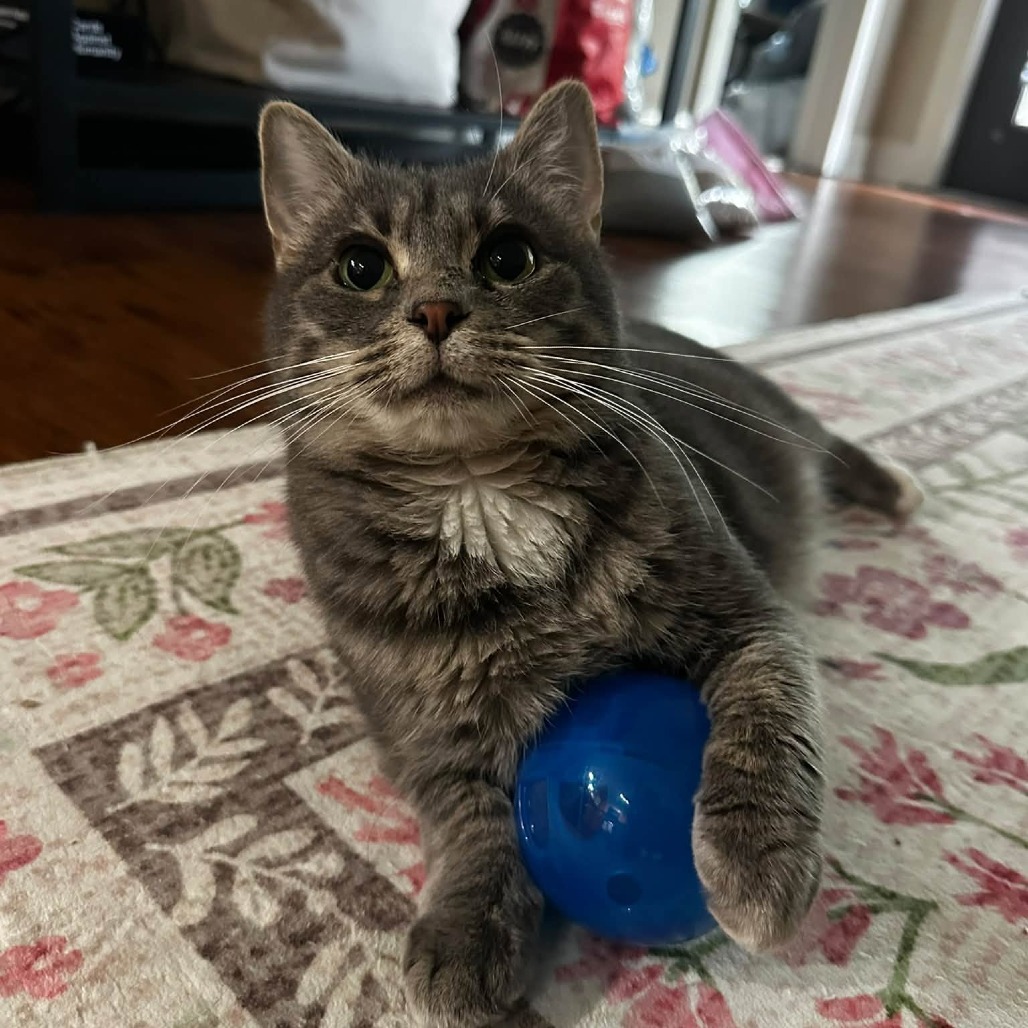 Kiara, photo 18