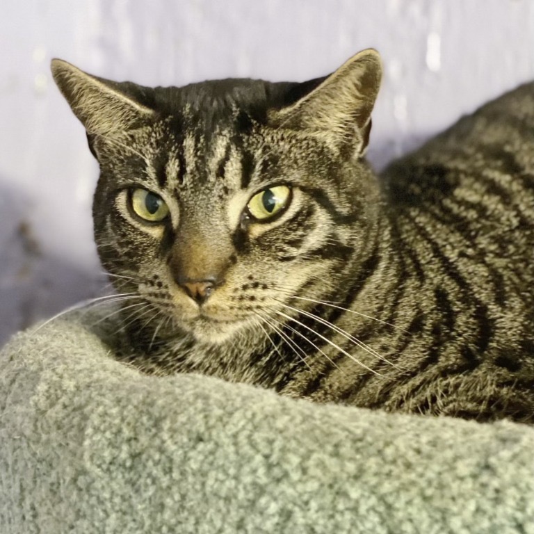 Photo of Huck playing