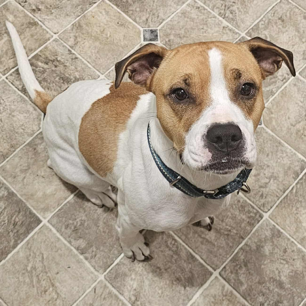 Maebelle — thumbnail 2