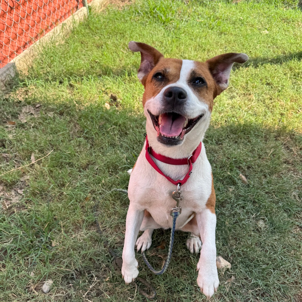 Daisy, additional photo