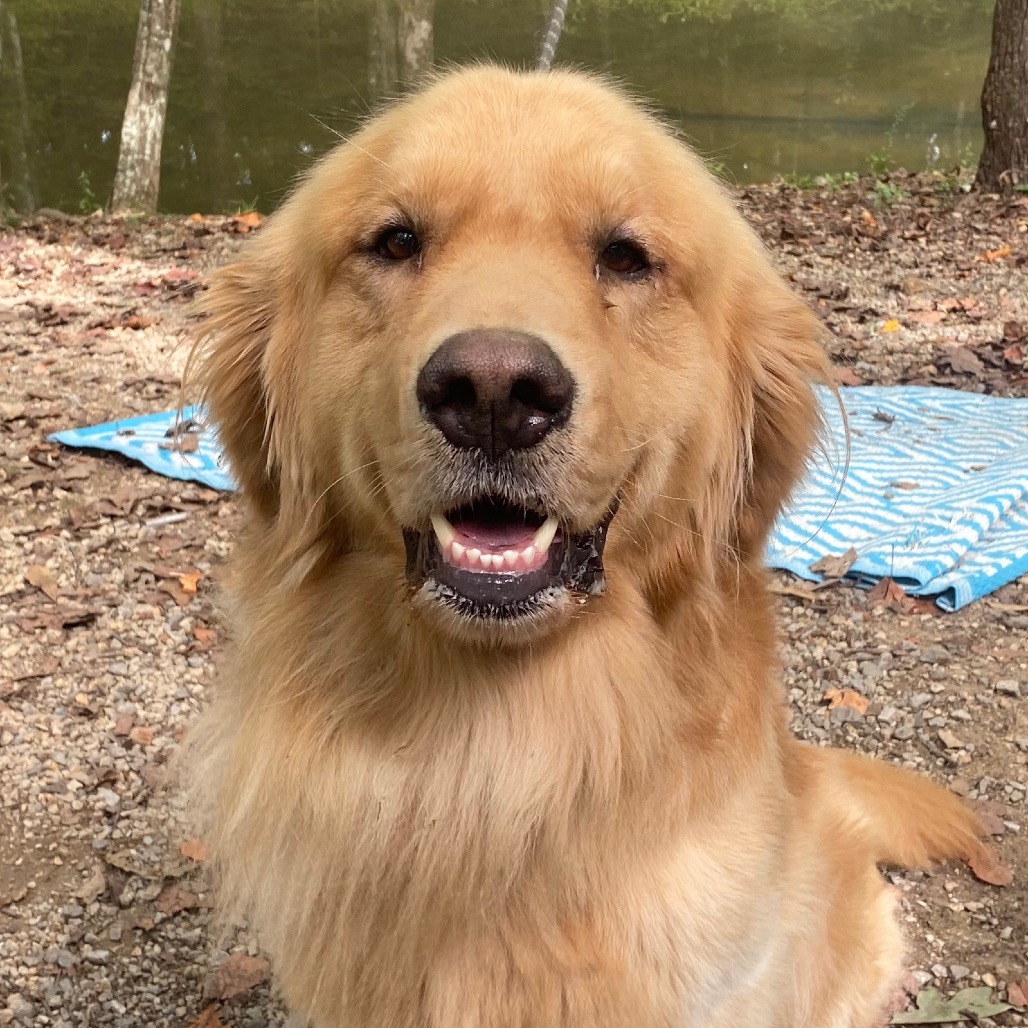 Waylon 