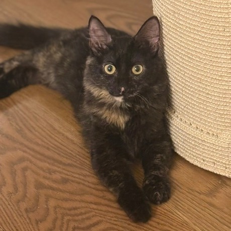 Teagan, photo 2