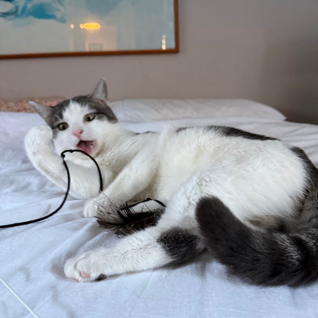 Gregory — thumbnail 4