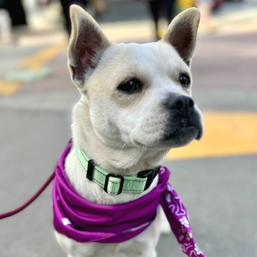 Margaret — thumbnail 3