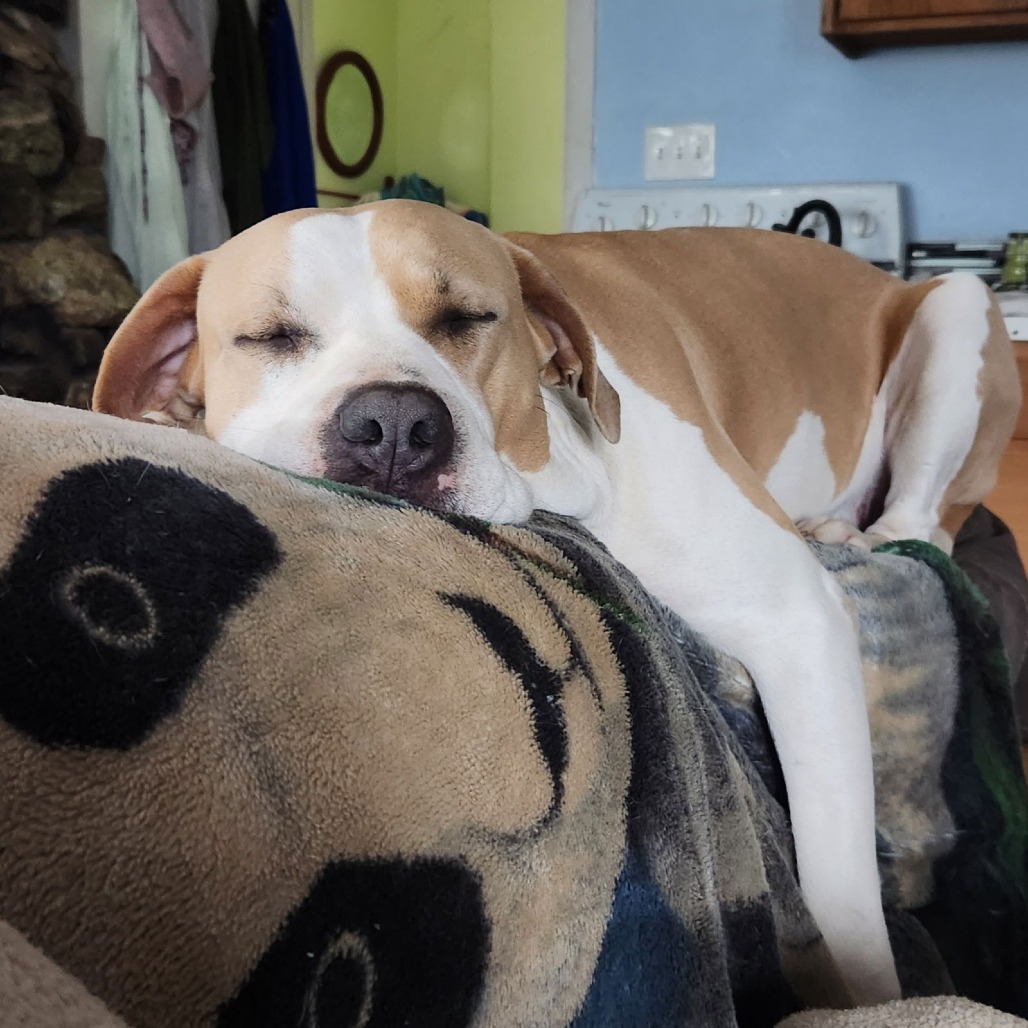 Lenore — thumbnail 3