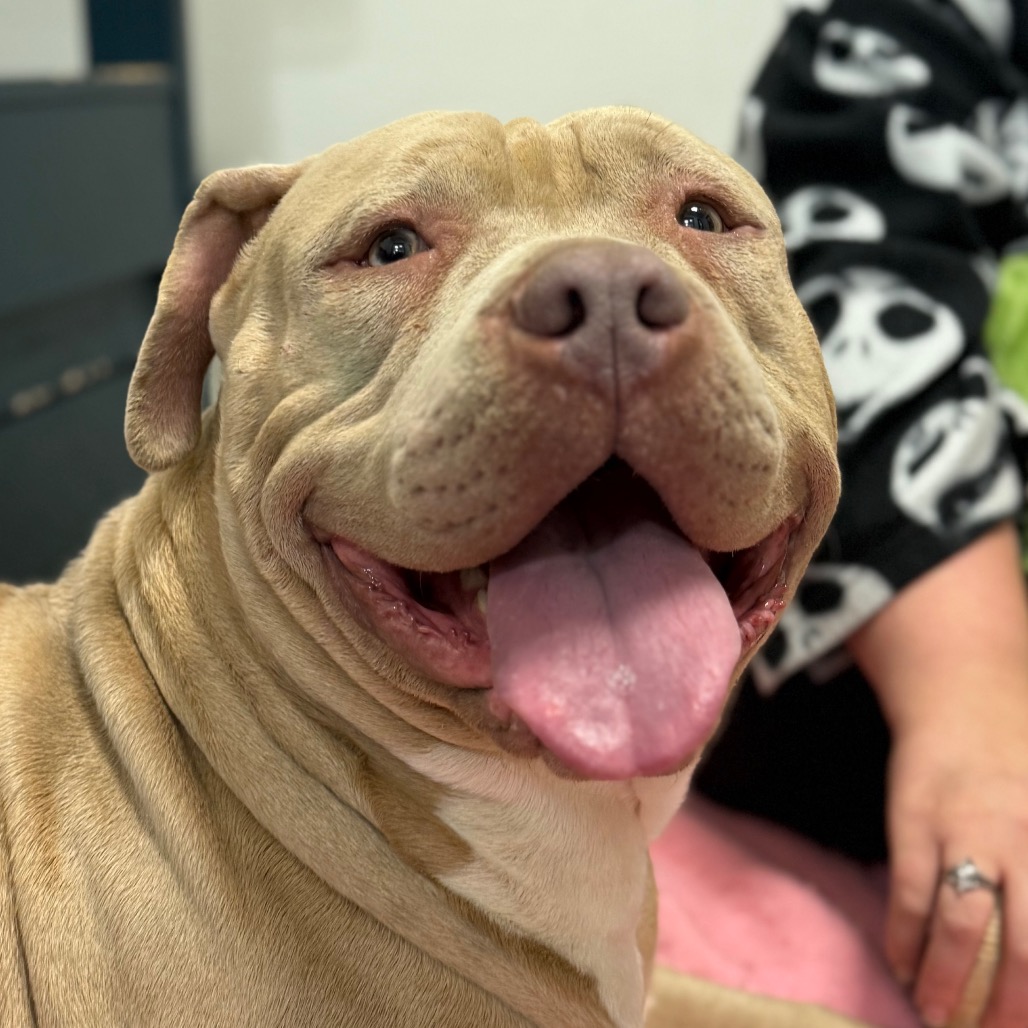 c1d36a761606b8b4d0be87a4f8a43ae7