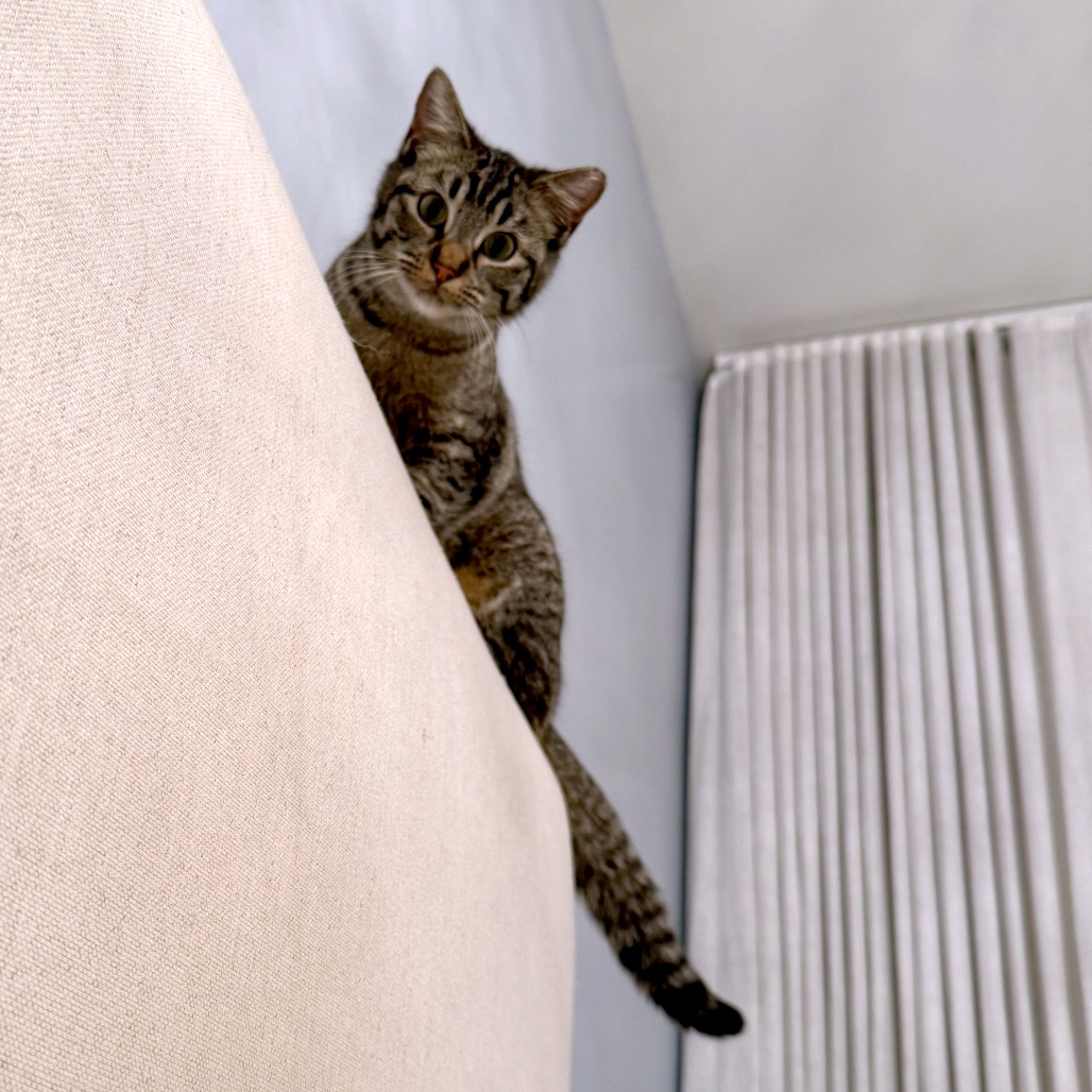 Casey — thumbnail 3