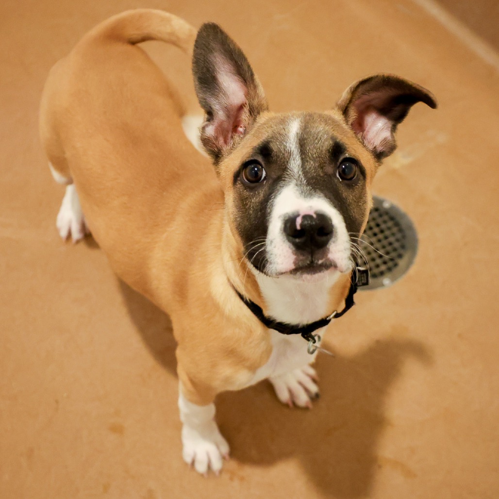 Deanna — thumbnail 2