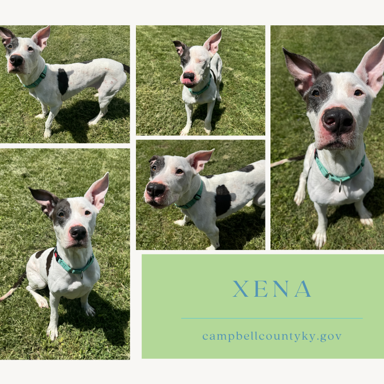 Xena