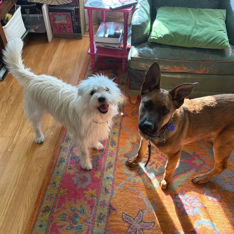 Paddington — thumbnail 5