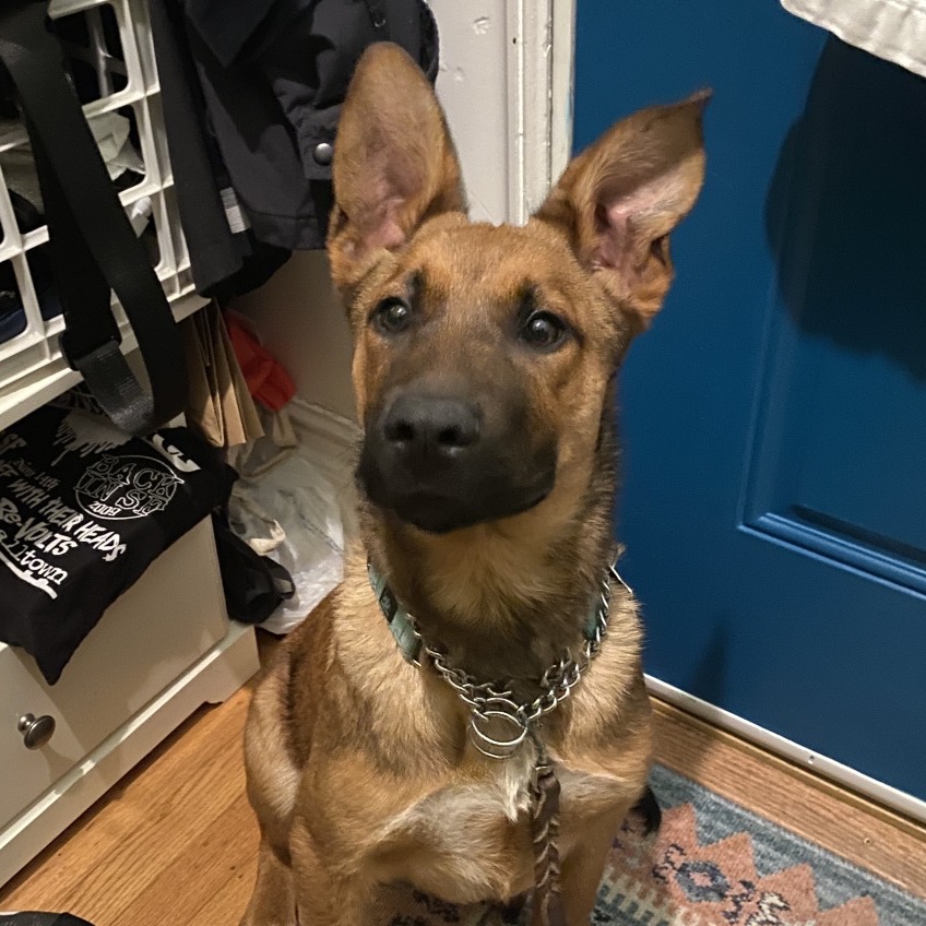 Paddington — thumbnail 4