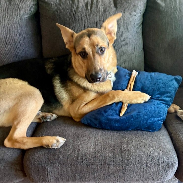 Leon — thumbnail 3