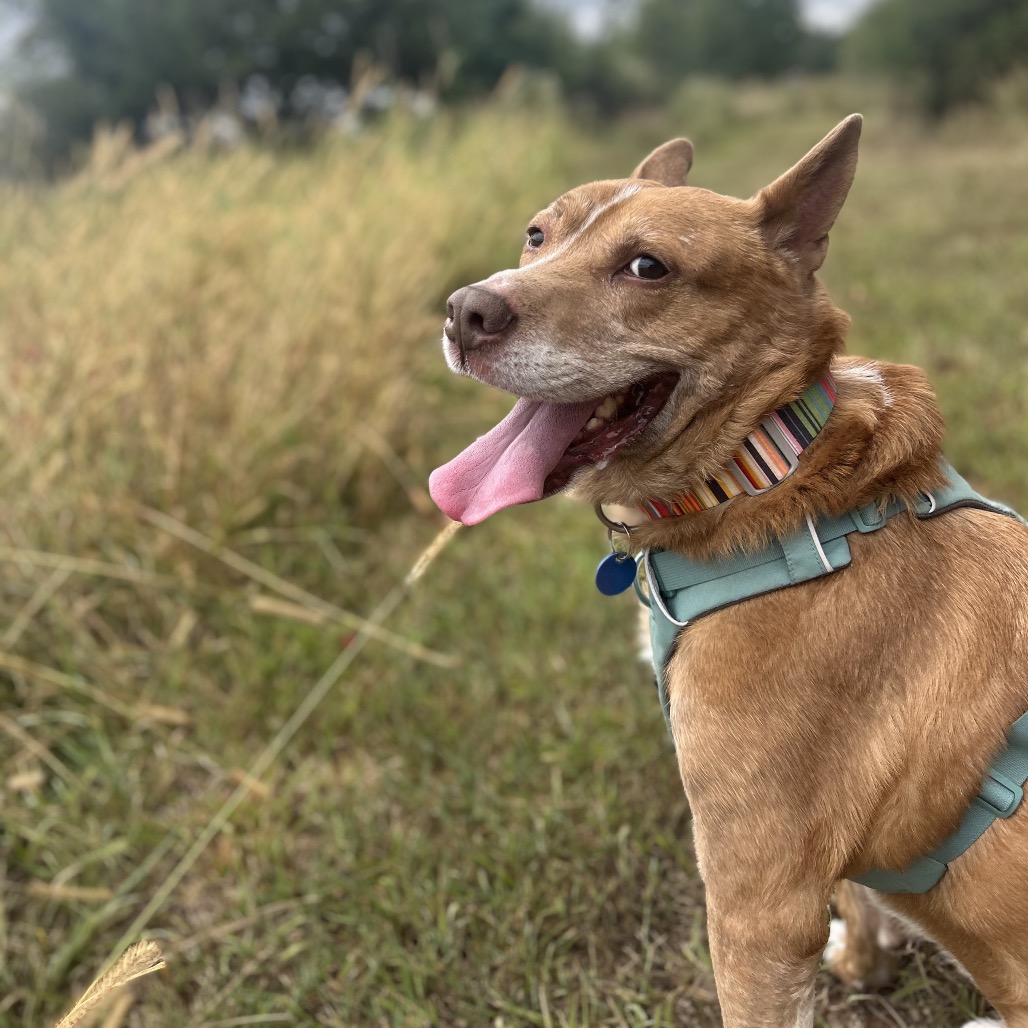 Zoomer (I Have a Secret Crush!), additional photo