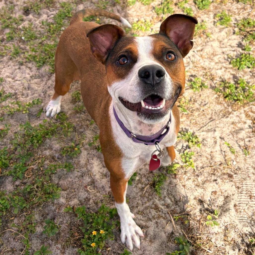 Minnie, photo 5