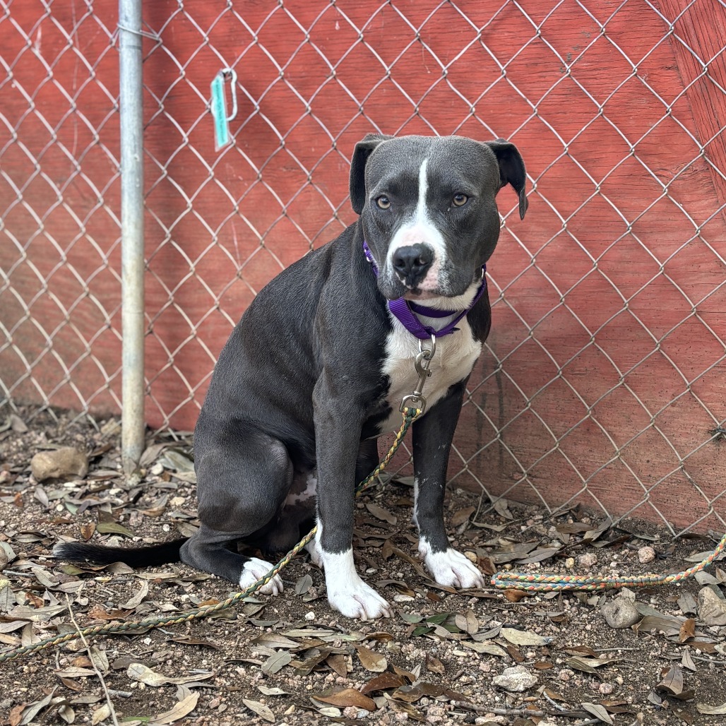 Moonbeam — thumbnail 9