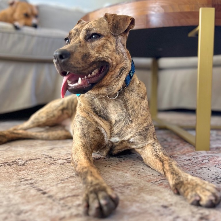 Photo of Sunshine playing