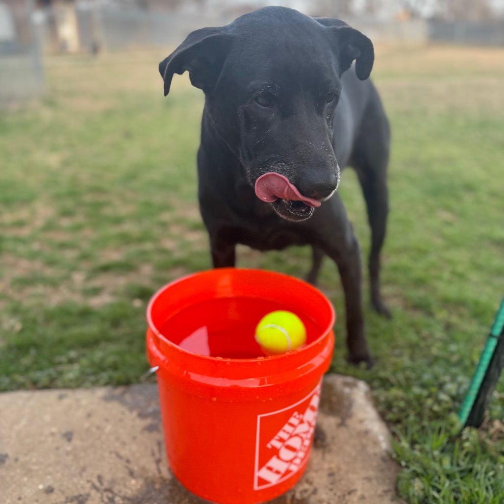 Journey — thumbnail 5