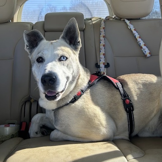 Osol — thumbnail 5