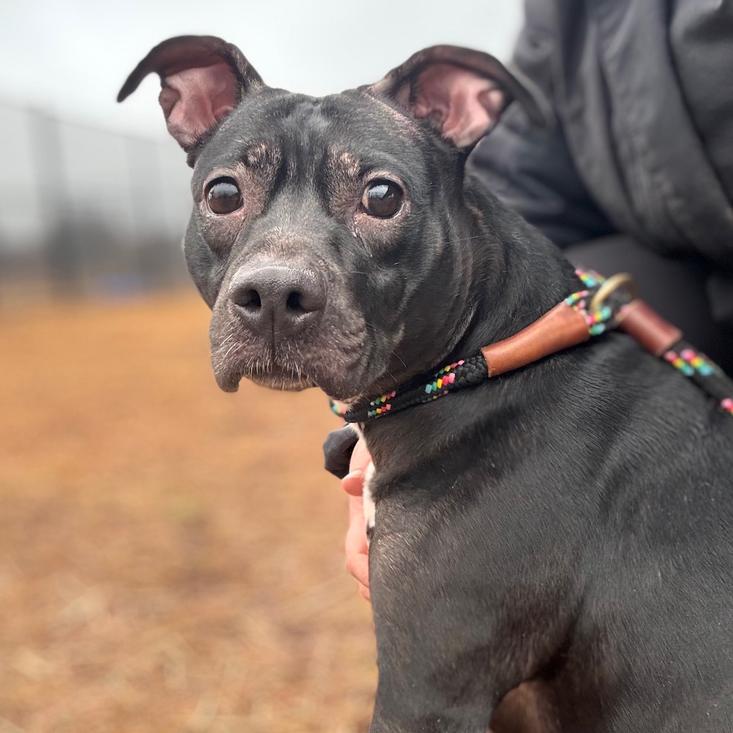 060bef2b54e4325feb82852828eea2b1