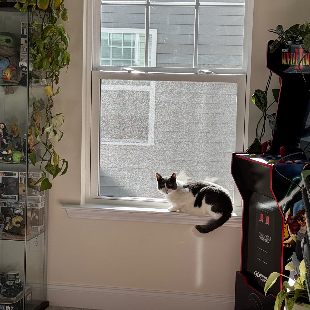 Shift — thumbnail 5