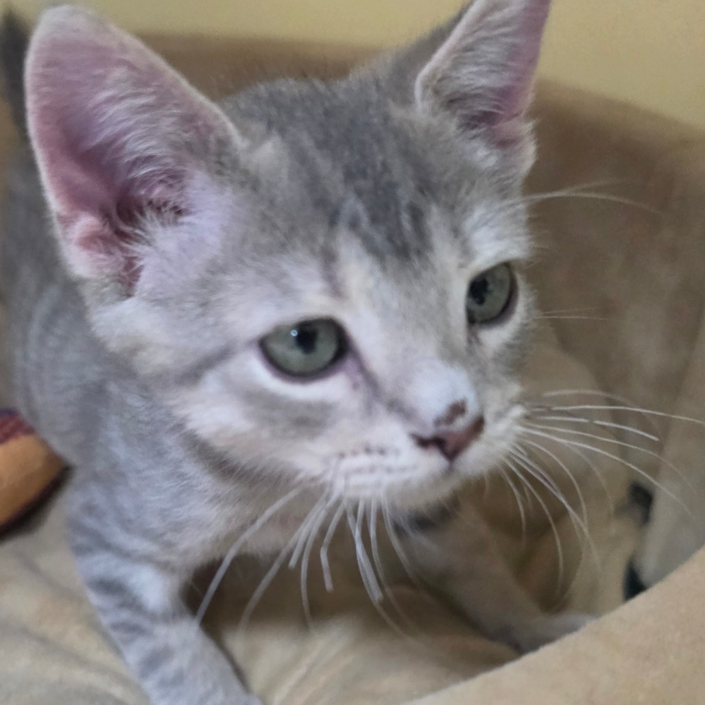 Irwin, photo 5