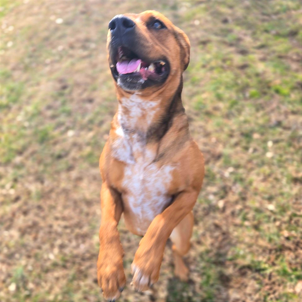 Chani — thumbnail 9