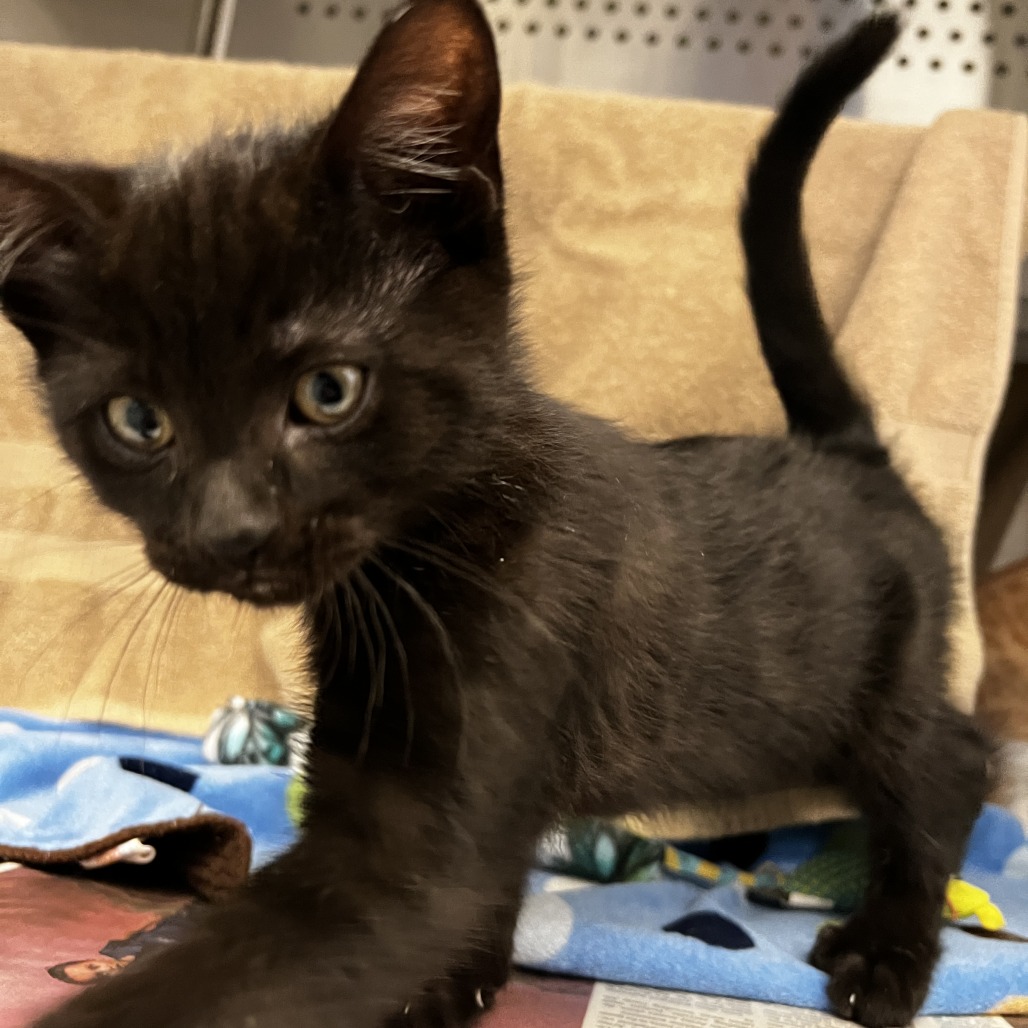 Photo of Bert aka George 6