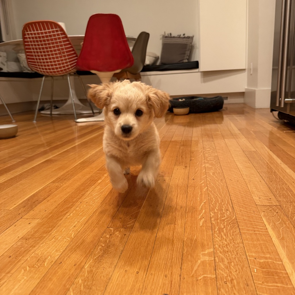PRESLEY, photo 16