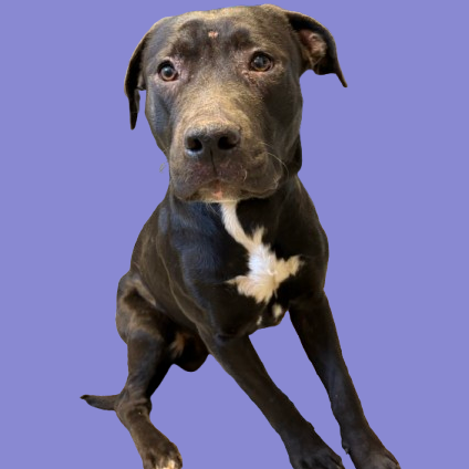  Photo of Locke