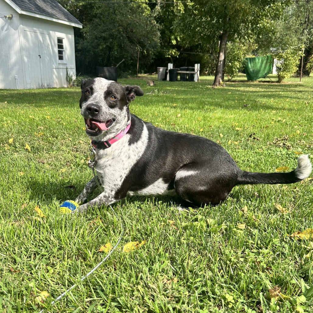 Tracker, photo 20