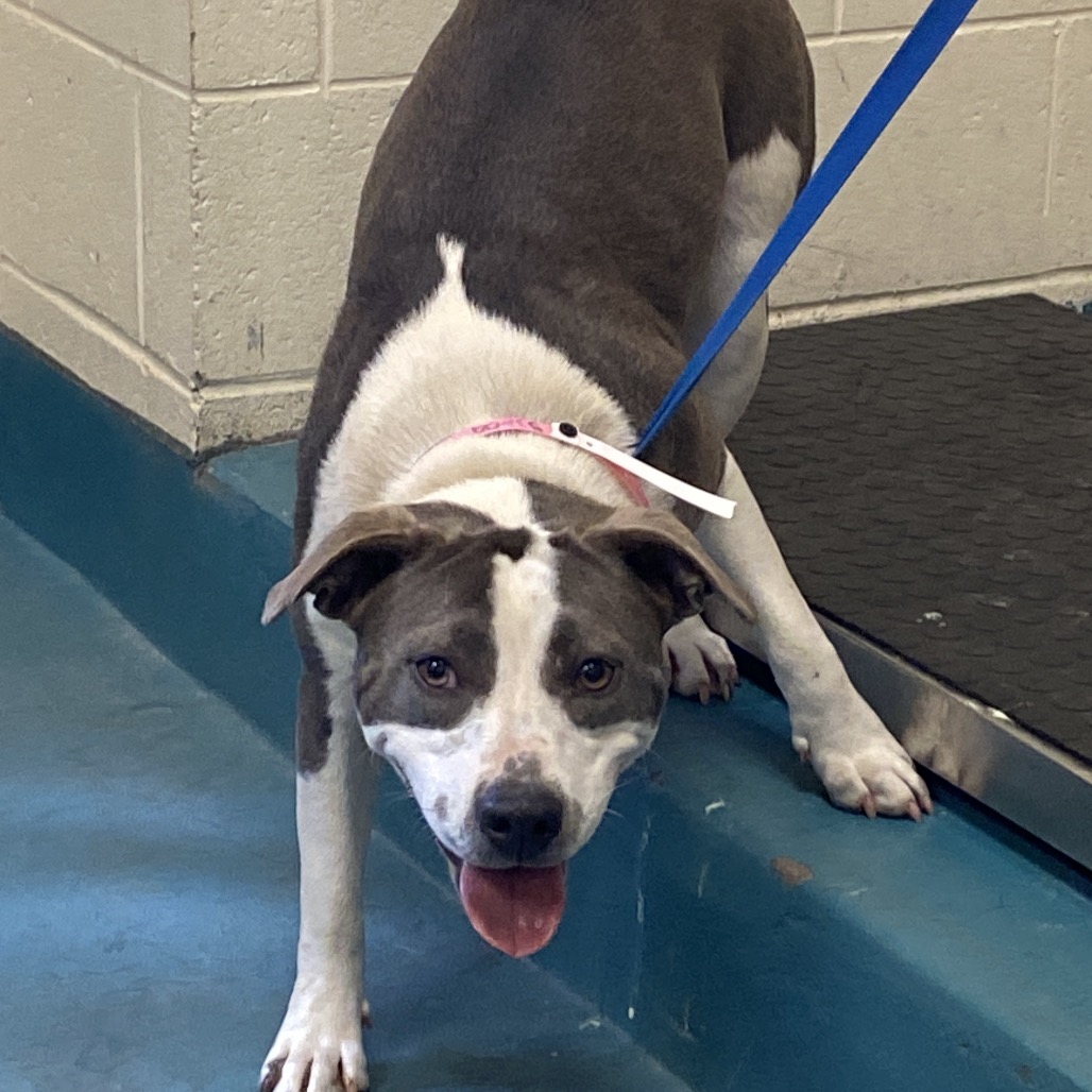 Happy — thumbnail 6