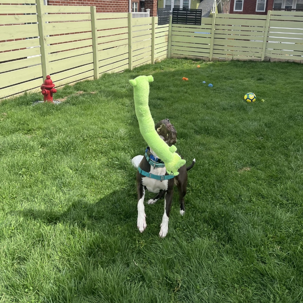 Photo of Sapphire 14