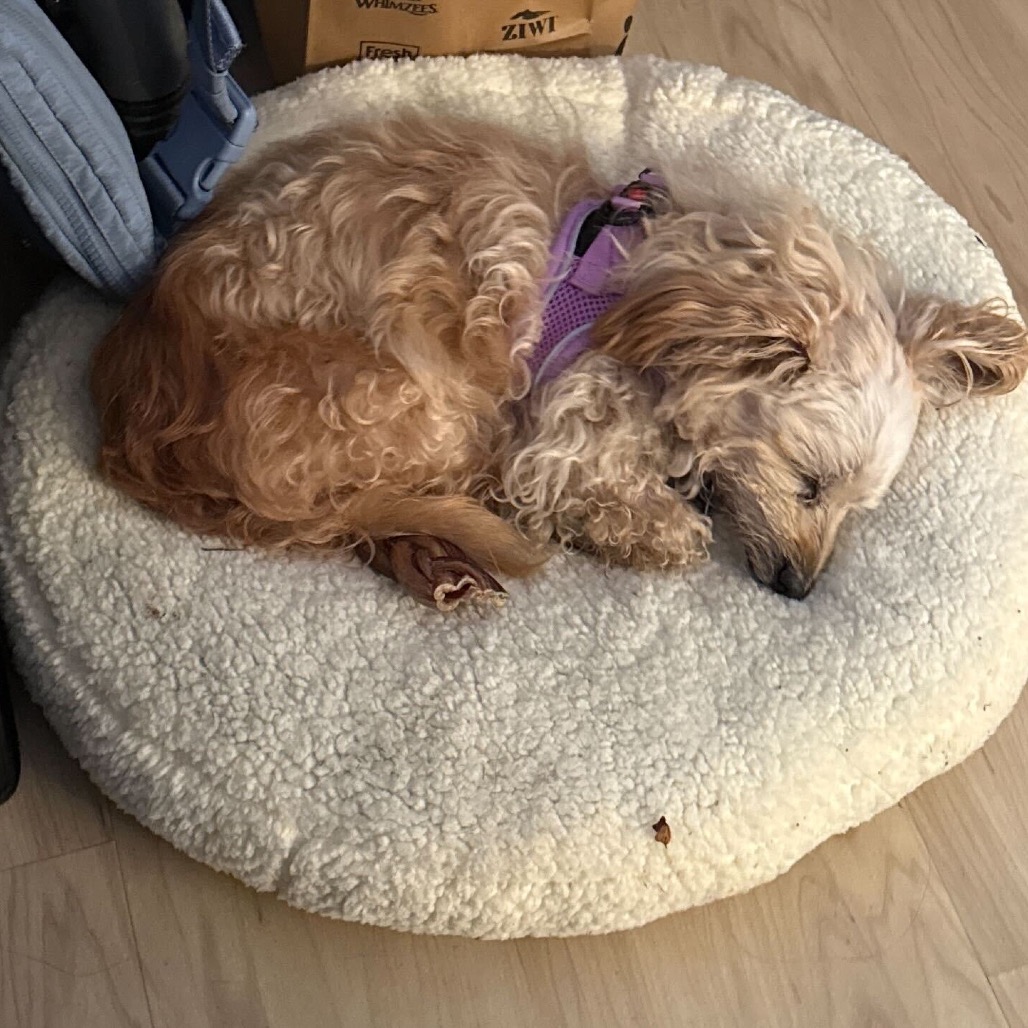 Walter, photo 5