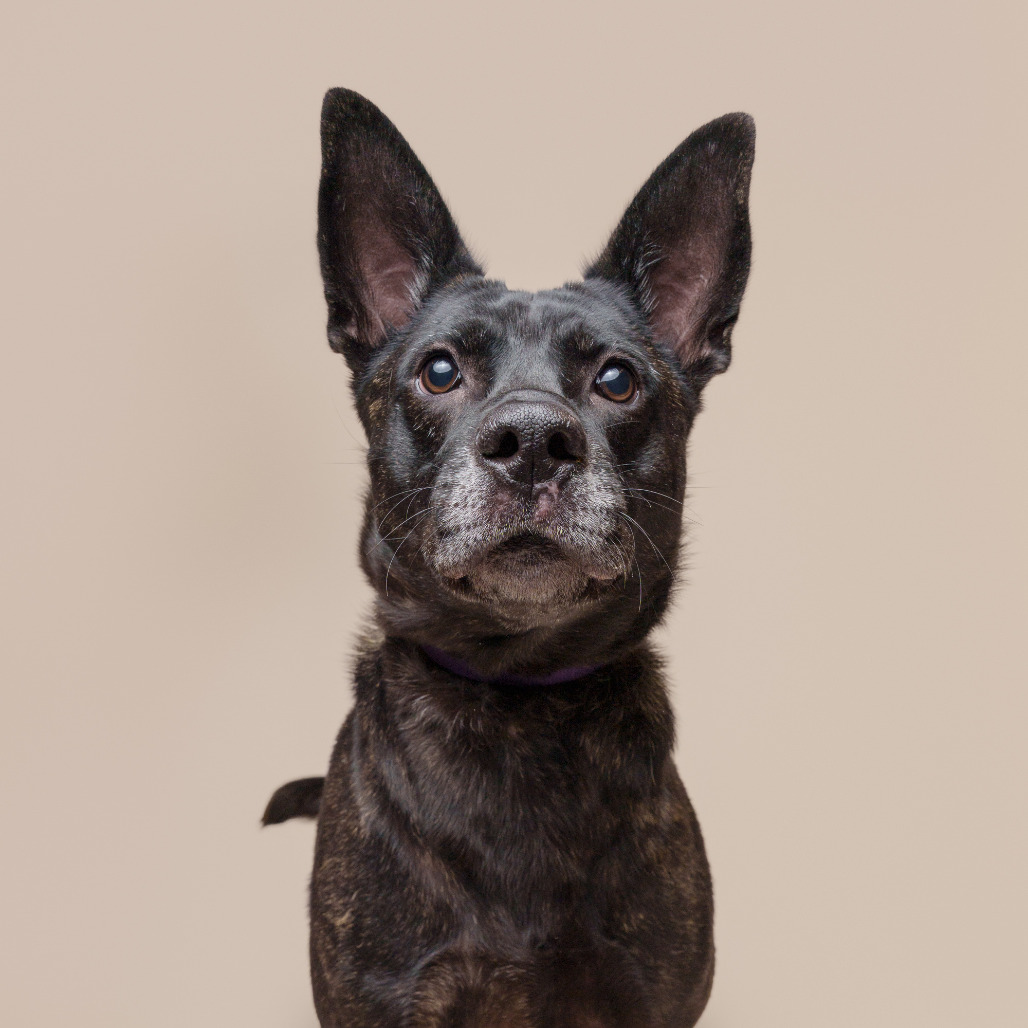 Photo of Catalina 17