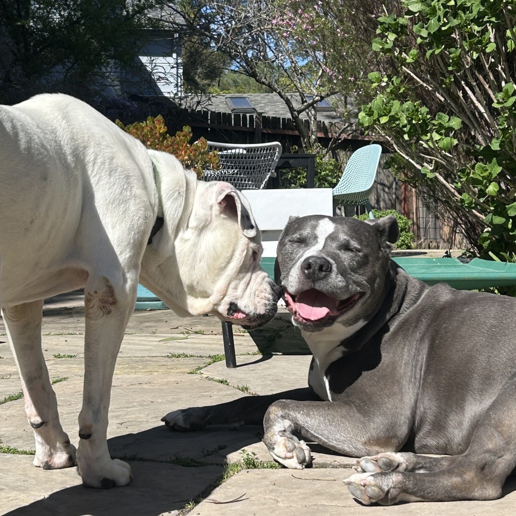 Daley Mae — thumbnail 5