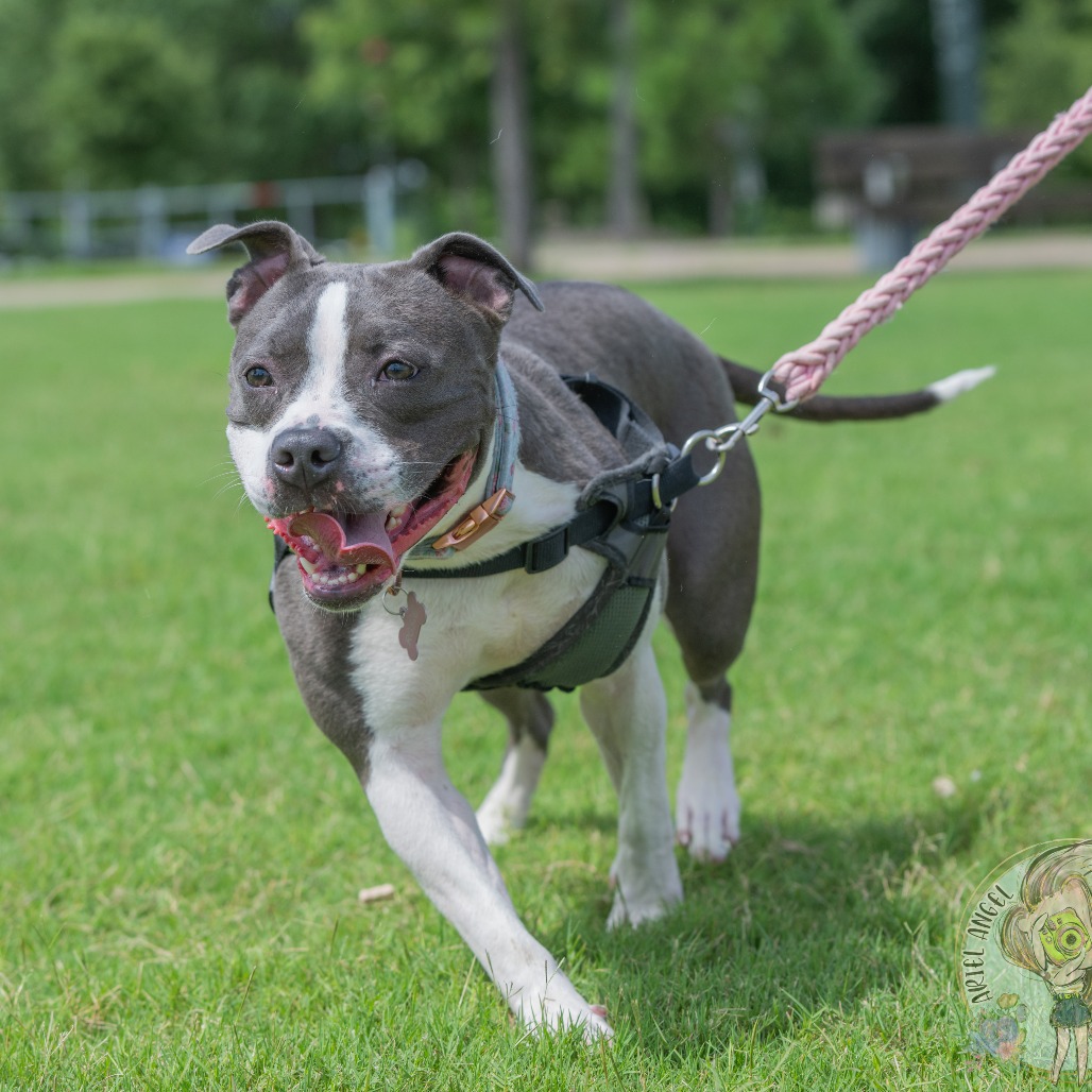 Ruby aka Woobie (Formerly Rosie), photo 15