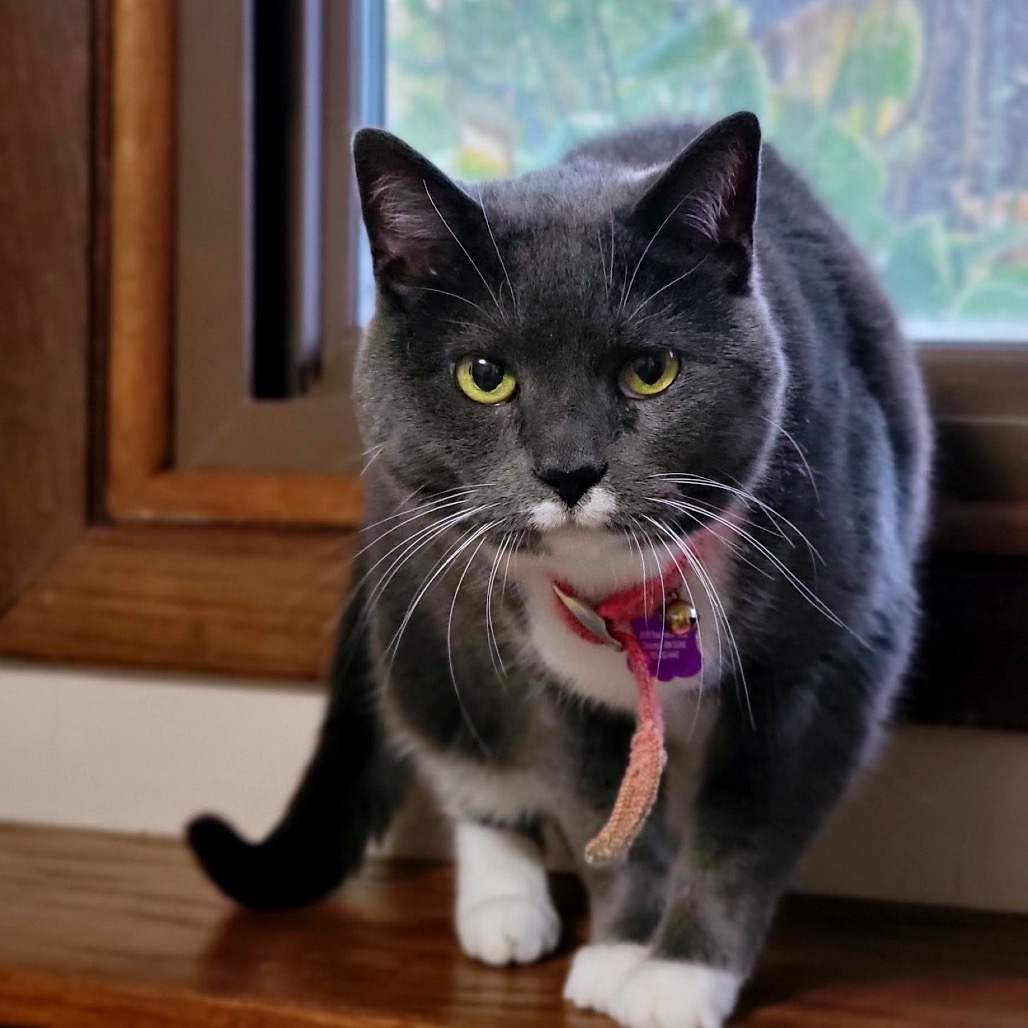 Pamela