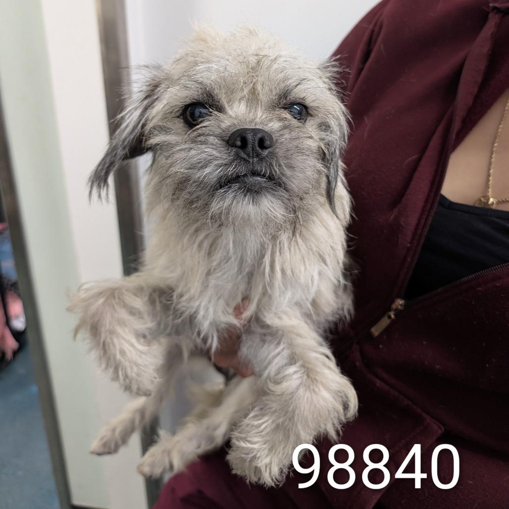 Pyrite — thumbnail 2