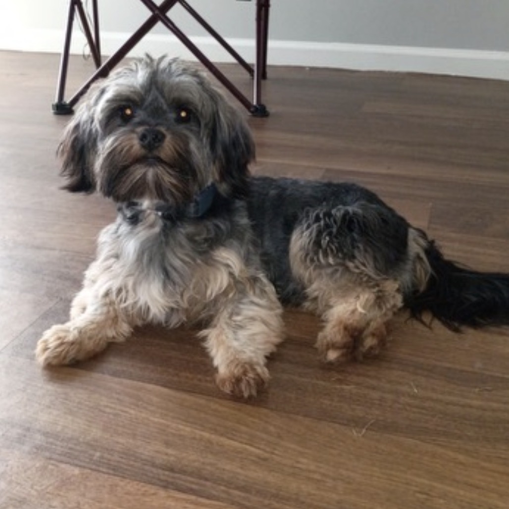 Kody Bear 10-2625, photo 2