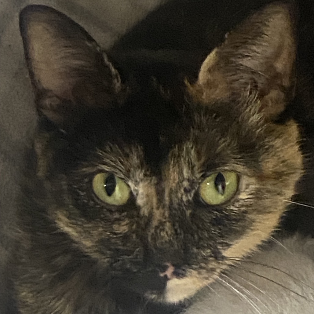 Pippie (mom)