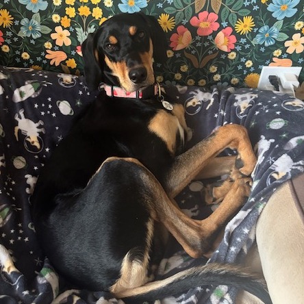 Jade, photo 32
