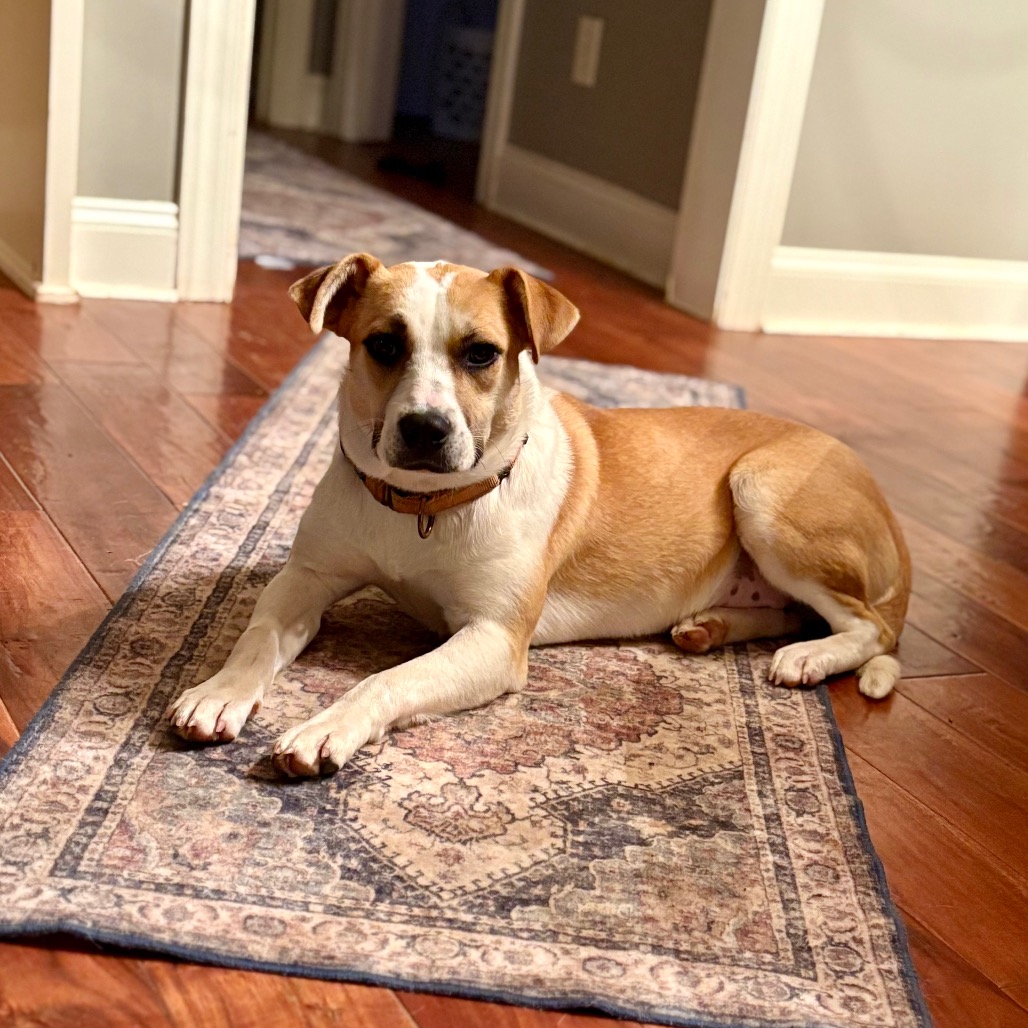 Molly — thumbnail 3