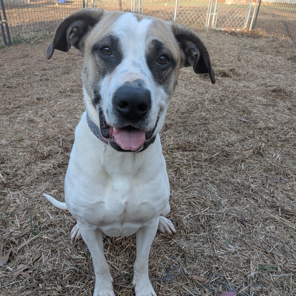 Beatrice — thumbnail 3